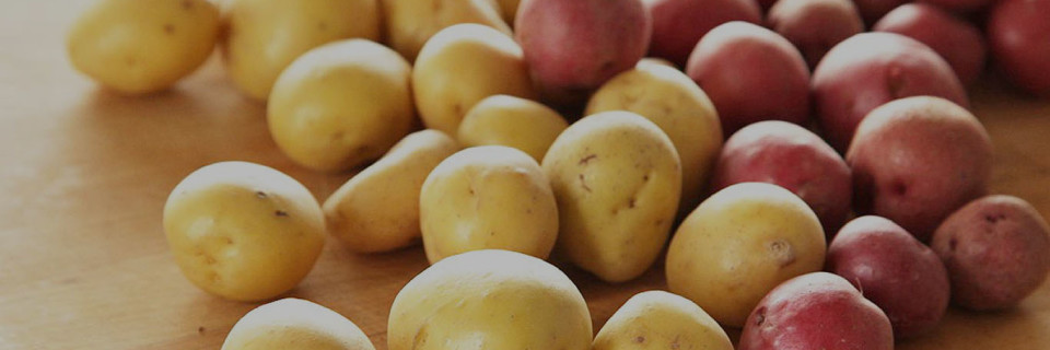 Multiple varities of Fresh Potatoes & Potato Powder