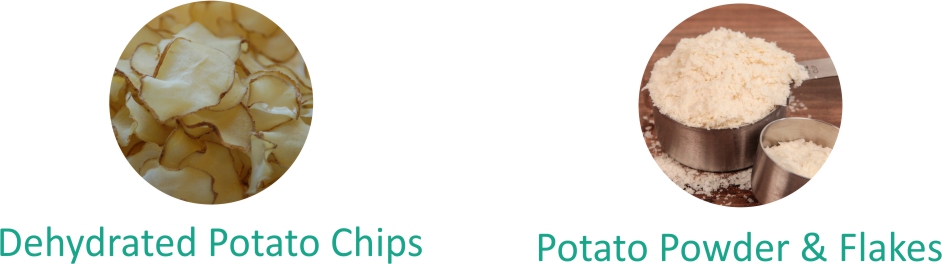 Potato Types